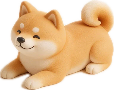 Pochi the shiba, lying down.
